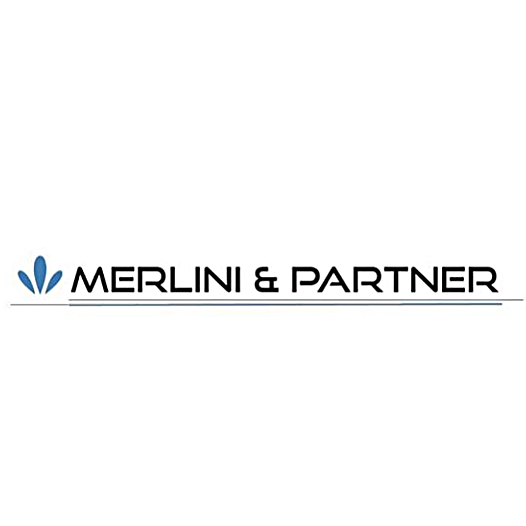 MERLINI AND PARTNER,