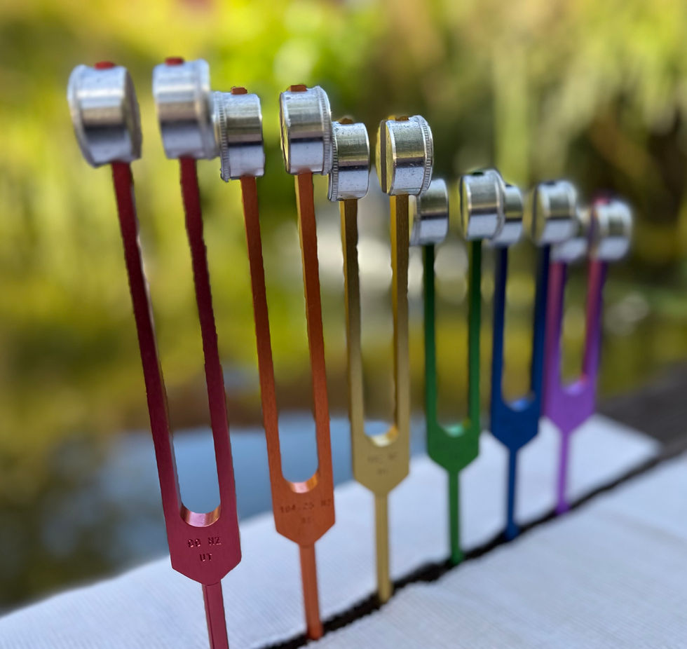 Solfeggio Body Tuners weighted tuning forks for sound therapy, used on acupressure points and meridians to release pain and restore balance.