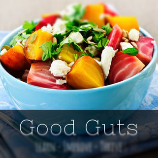 Good Guts Training Is Now Online