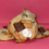 Thumbnail: S'mores Cookies