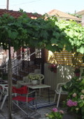 terrace1 garden.jpeg