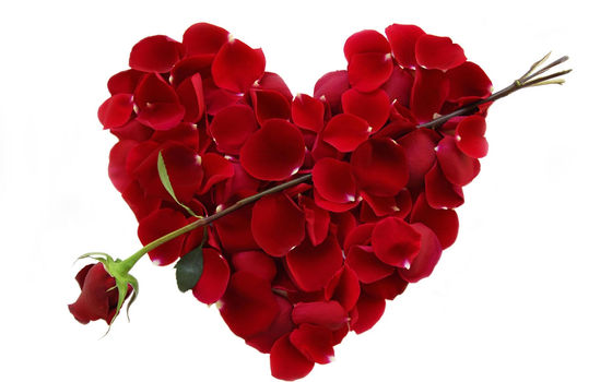 For the love of Valentine’s Day