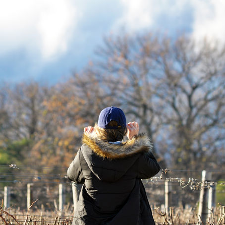 A winter weekend in Franschhoek