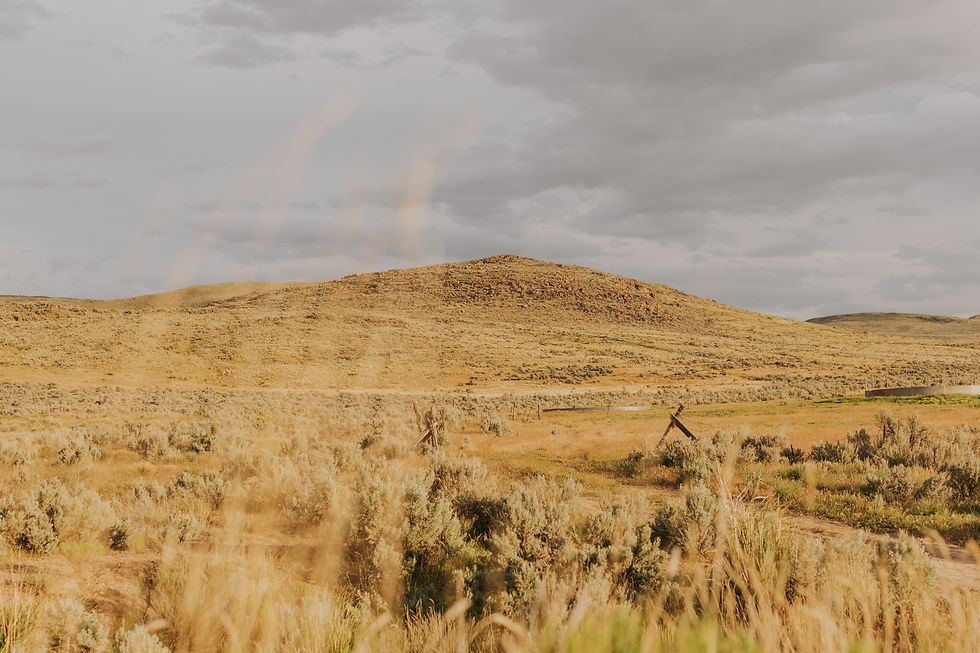 The Grassy Mountain gold project, in Malheur County, Oregon
