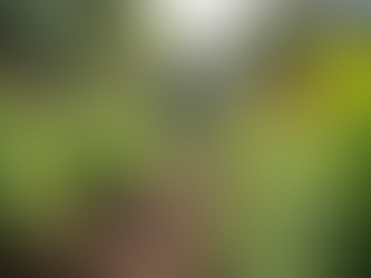 The Importance of Sustainable Living in Today's World