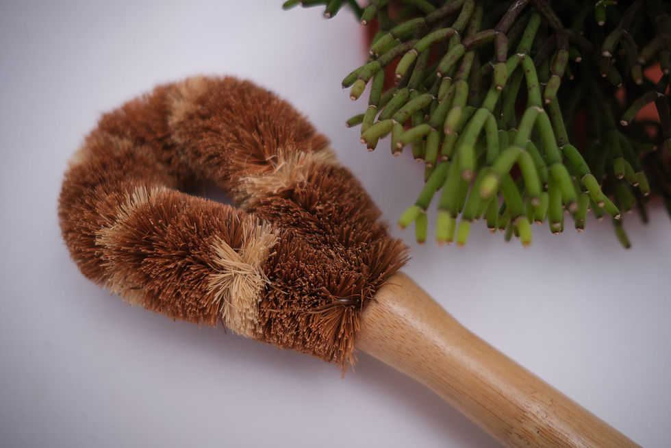 Escova de pratos e panelas