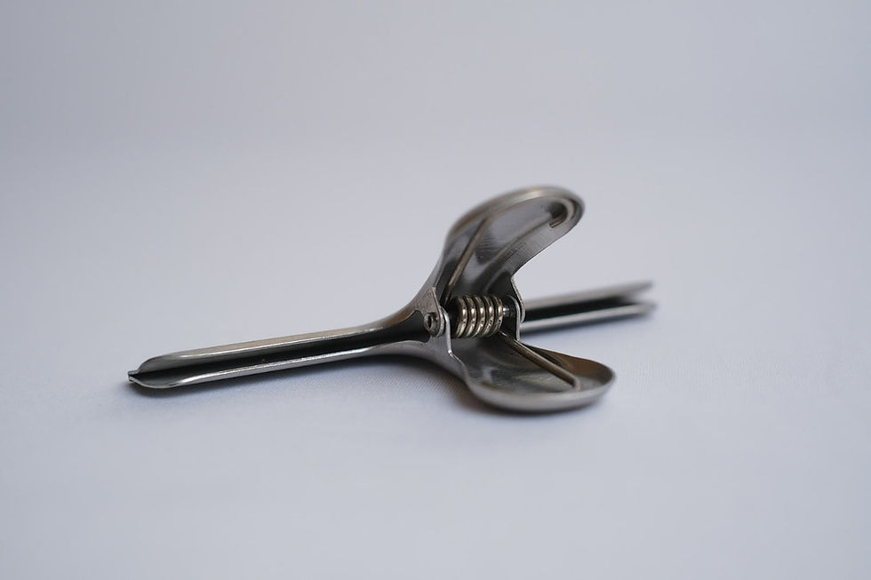 Miniatura: Prendedor de inox