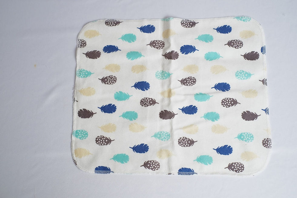 Thumbnail: paperless towel