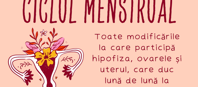 Ce este, de fapt, ciclul menstrual?