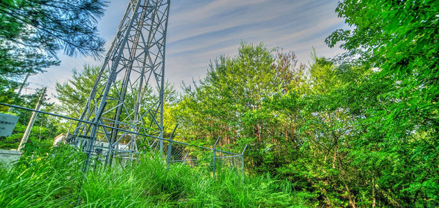 岡山県津山市にあるドックラン・キャンプ場用地