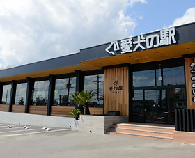 ペットとお出かけスポット 日本 伊豆の観光情報発信局は ディスカバリーizu ペットとお出かけスポット 日本 伊豆の観光情報発信局は ディスカバリーizu