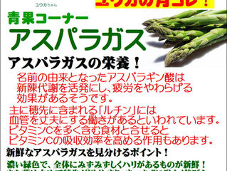 青果コーナー3月のおすすめはアスパラガス!