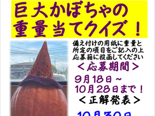 ハロウィンかぼちゃ重量当て!