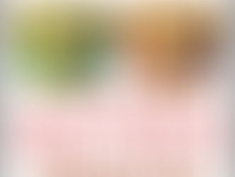 ハーゲンダッツデコレーションズ試食セール!