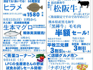 秋の大創業祭!