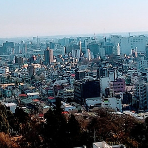 栃木県・県央・県南エリア対応