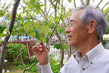 白内障・緑内障も精査及び加療