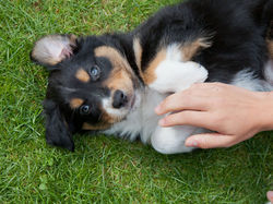 K-Wurf Treff 09 15 (9)