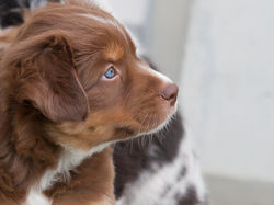 K-Wurf Treff 09 15 (23)