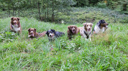 K-Wurf Treff 09 15 (37)