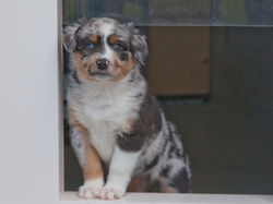 K-Wurf Treff 09 15 (5)