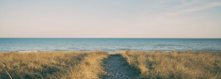 beach path.png