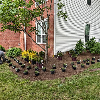 Preparing flower pots in a garden with a house in the background Conley