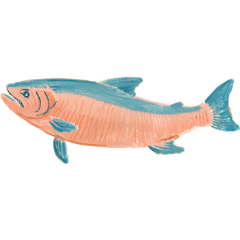 fish graphic