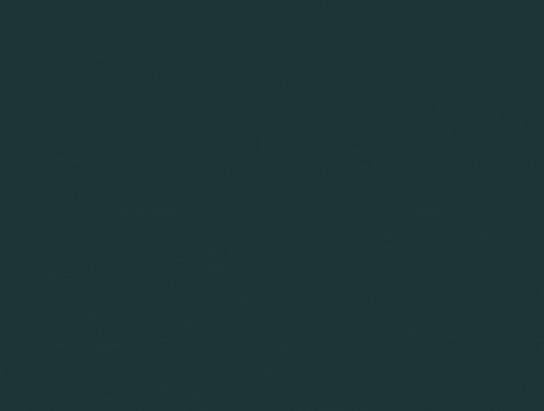 TRANSPARENT FILE