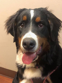 Marley’s bio picture .png