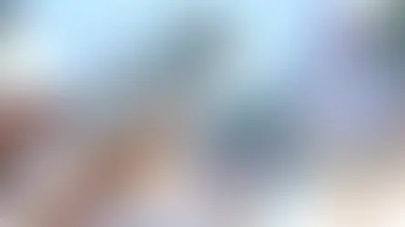 Why Mobile-Friendly Websites Are Crucial for Local Charlotte Businesses