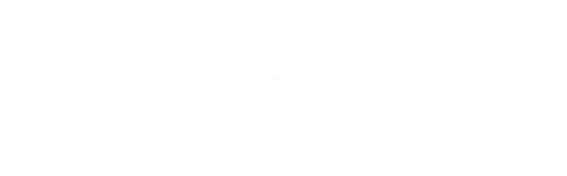 Untitled design - 2024-08-22T082439.542.png