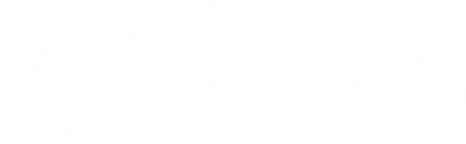 Untitled design - 2024-08-22T082439.542.png