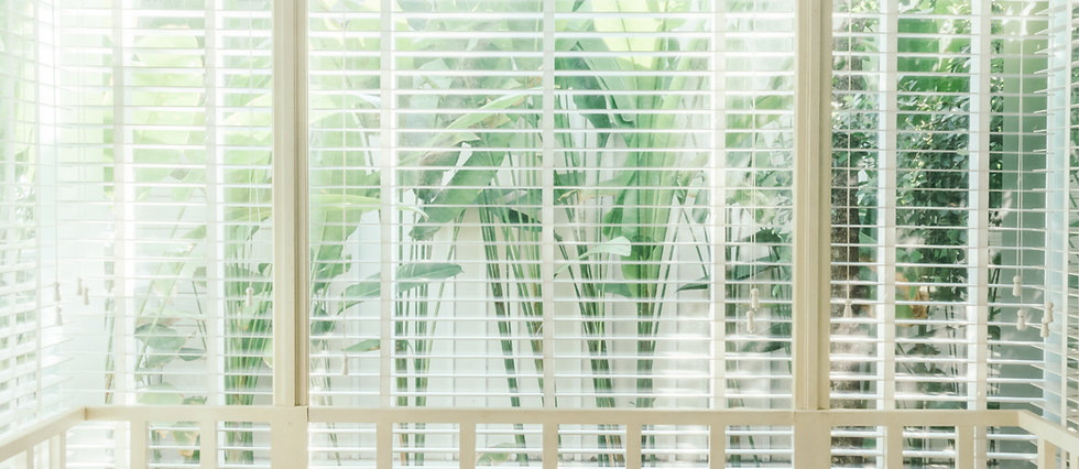 White blinds on a window with greenery