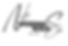 p logo