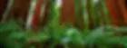 5.webp