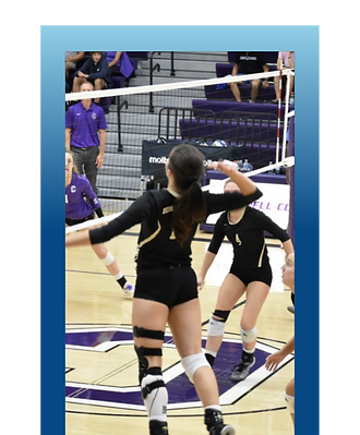Volleyball Game