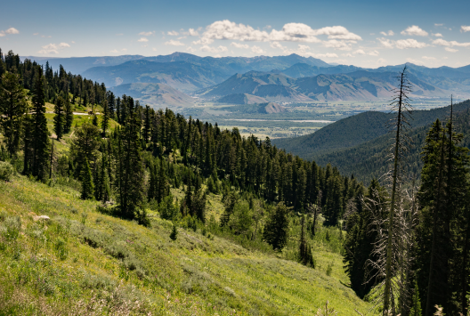 Jackson Hole