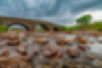 240613_MFS_-40.jpeg