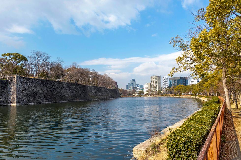 The Autonomic Moat: A Practical Guide to Hacking Your Nervous System for Calm and Safety