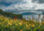 nature photo