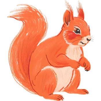 squirrel graphic