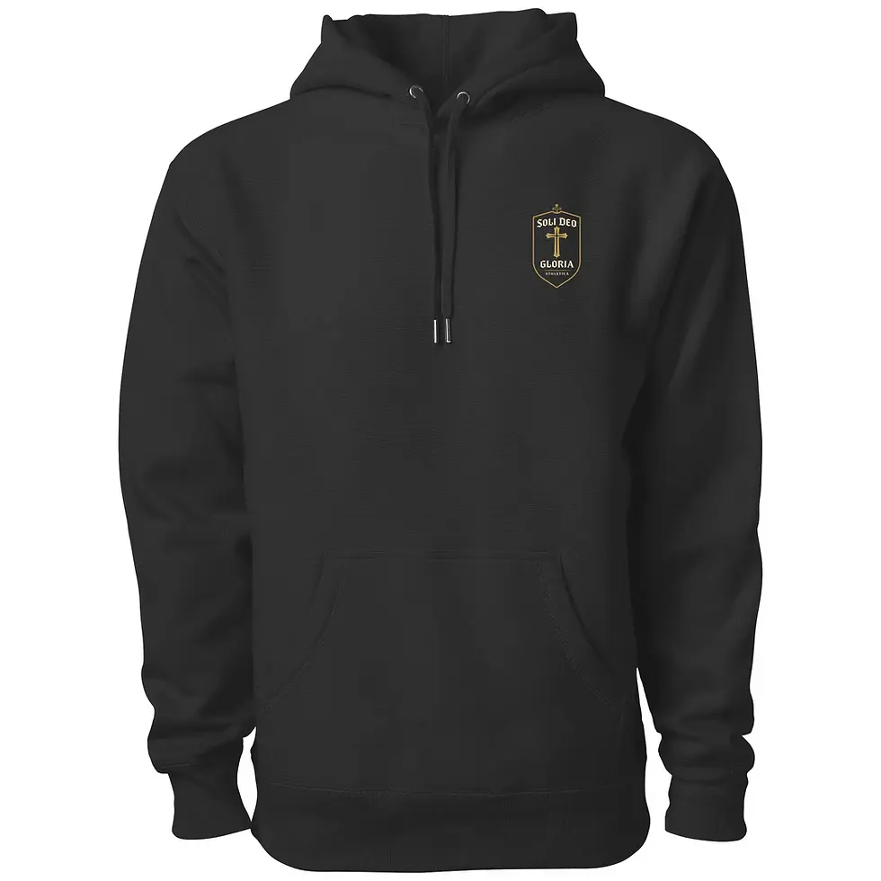 The Devil is a Liar Hoodie
