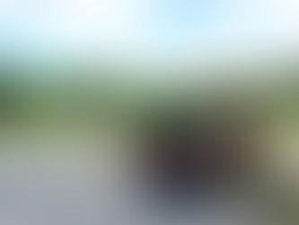 Family-Friendly Fall Fun: Discovering Camden’s Kid-Friendly Activities