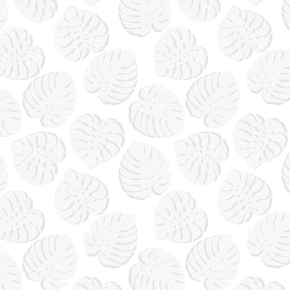 palm frond background