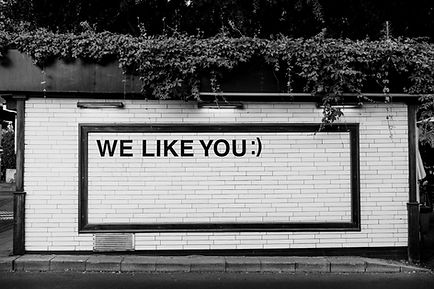 We Like You_edited.jpg