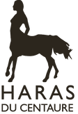 hdc logo brown.png