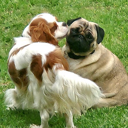 20241214_085650_edited.jpg