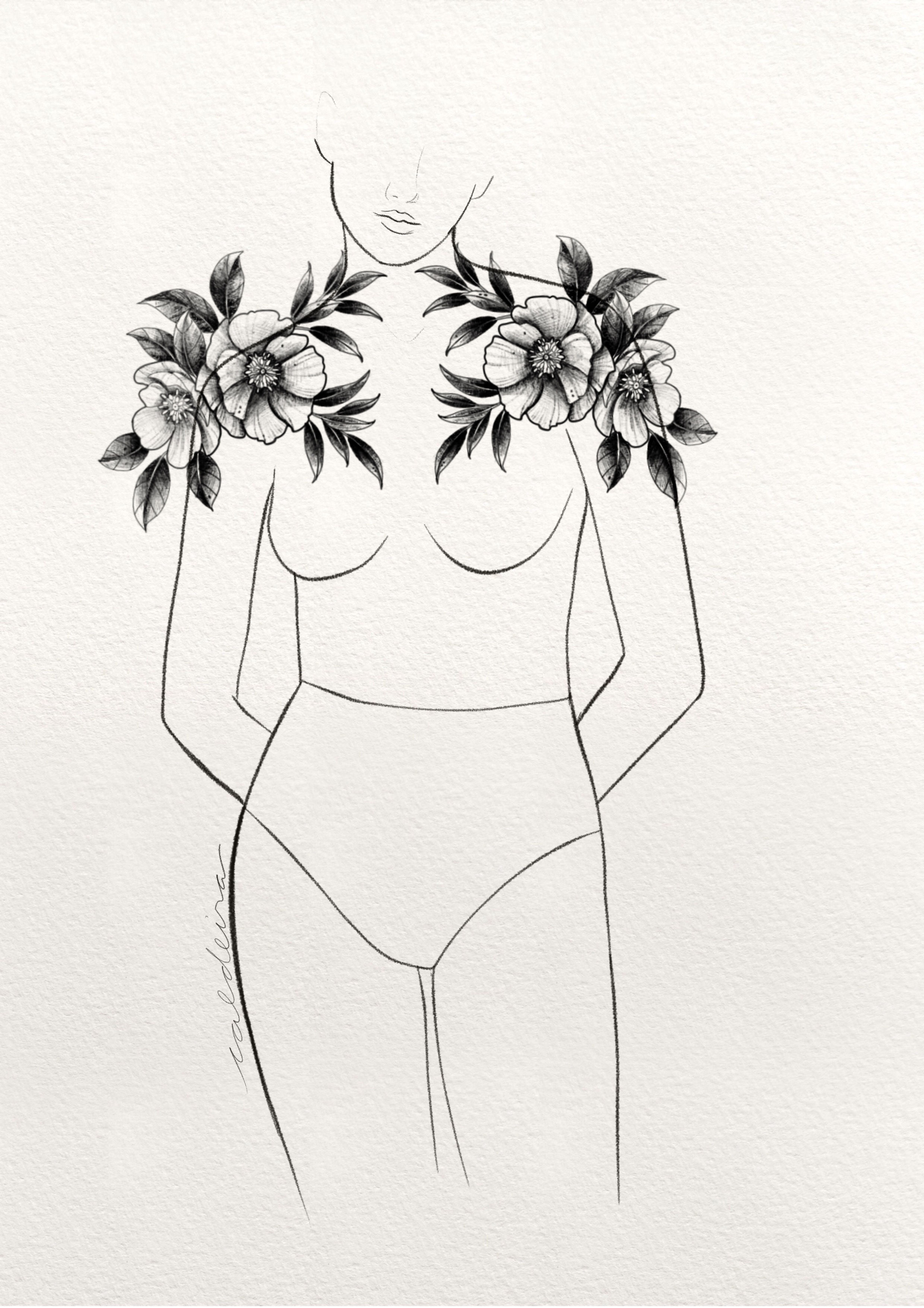 Anemones (Anemone coronaria)