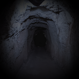 tunnel calico square no light_edited.png